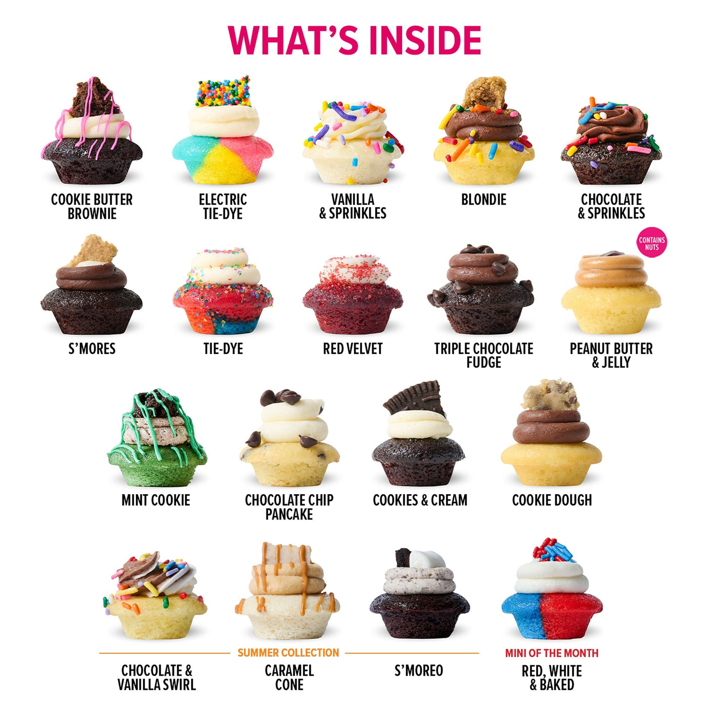 All the Flavors Cupcakes 50-Pack